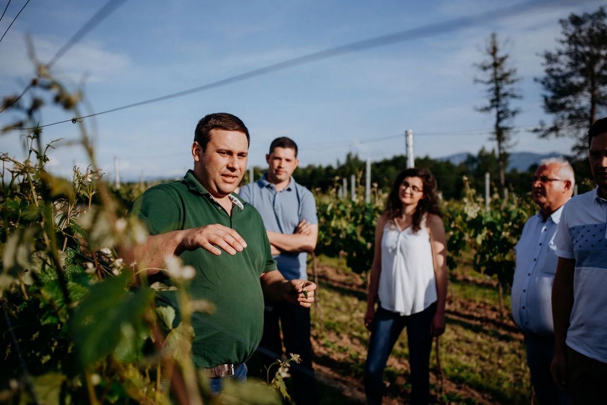 Weinverkostung und Weingartenführung