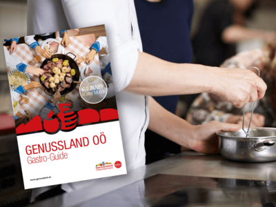 Gastro-Guide vor Küchen Szenerie