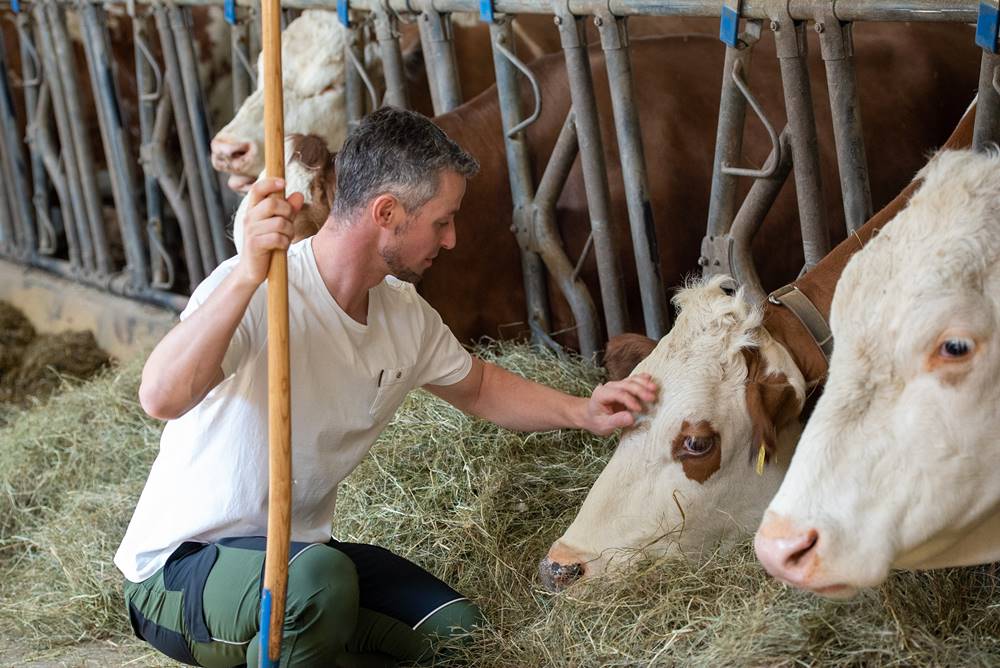 moar´spattenbrunn Detail Page Image No. 3