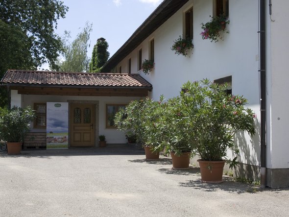 Michlbauer Detail Page Image No. 1