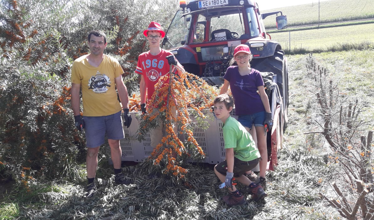 Ranwallnerhof Detail Page Image No. 1