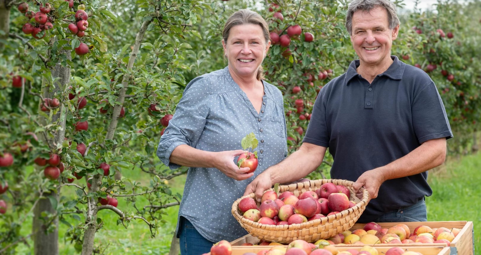 Schobermost Detail Page Image No. 1