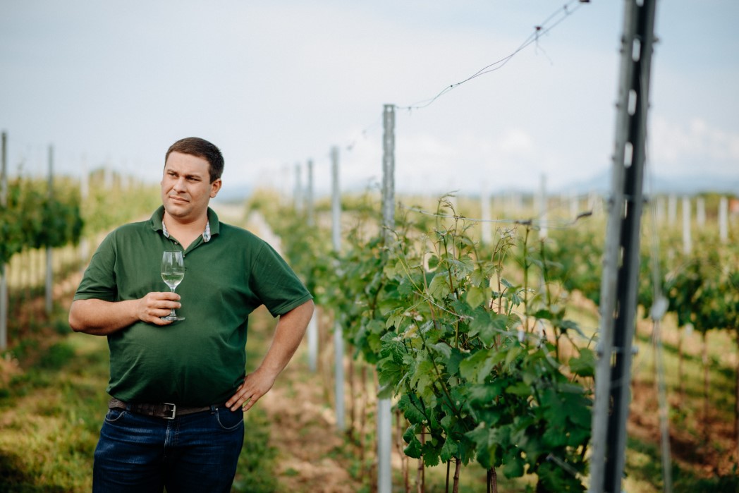 Weinbau Rogl Detail Page Image No. 1