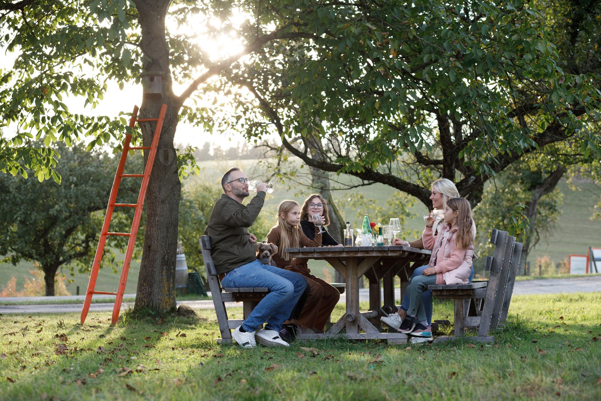 Bio Streuobstwelt vom Pankrazhofer & Bio Essigmacherinnen Detail Page Image No. 3