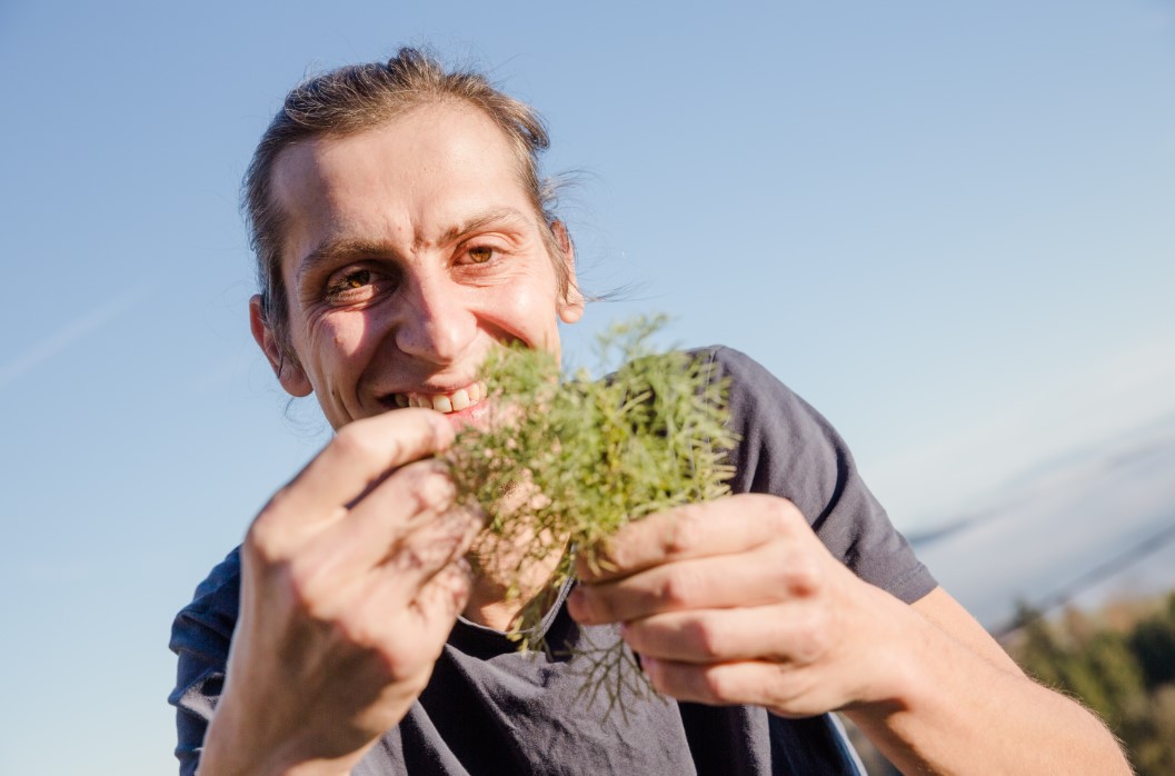 Pedacola e.U. Detail Page Image No. 1