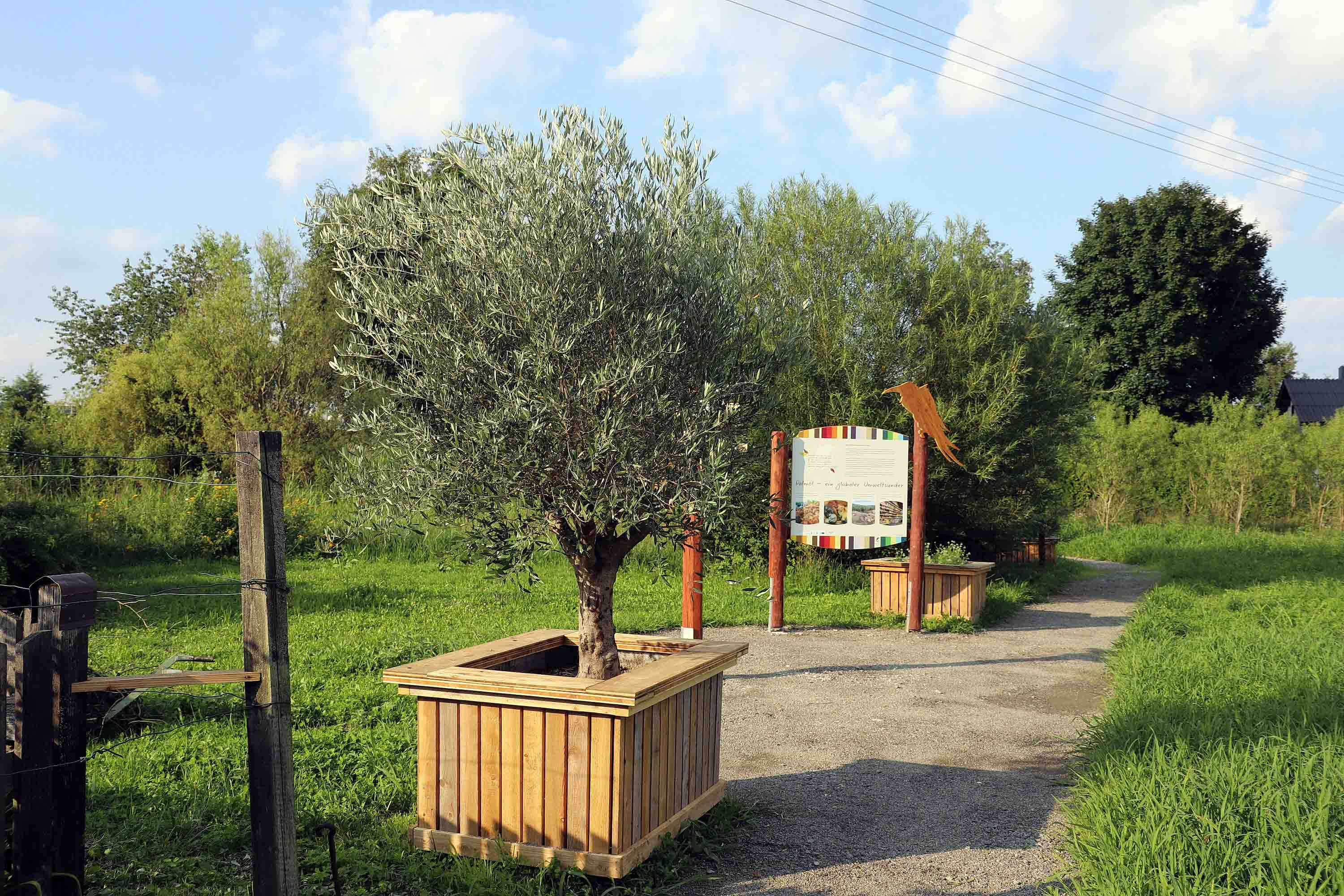 Ölmühle Raab