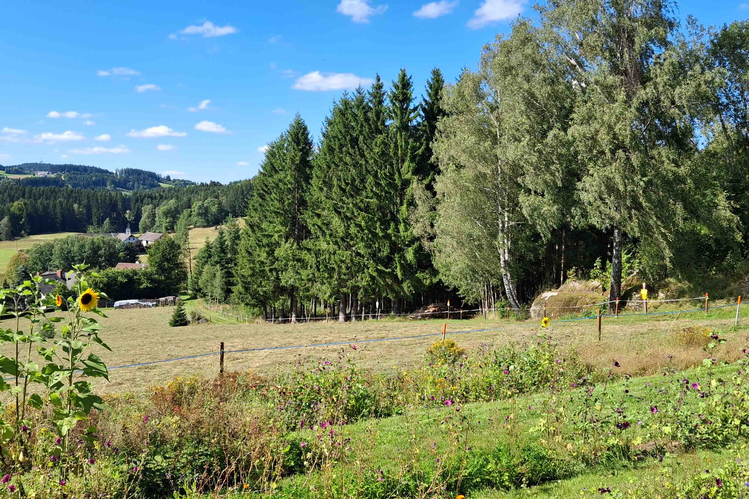 Sonnenhof Almkräuter