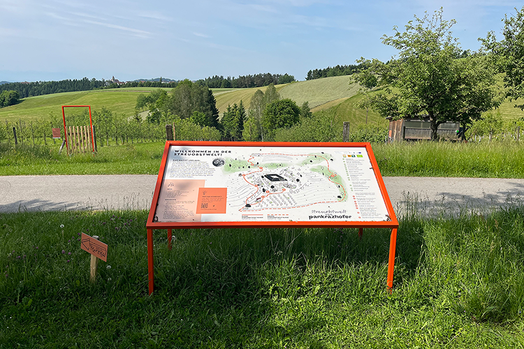 Pankrazhofer 11 Uhr Verkostung