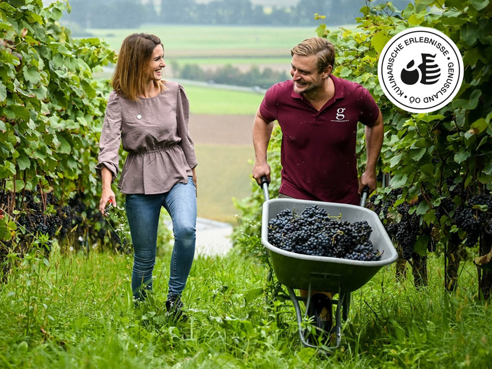Weinbau Leo Gmeiner
