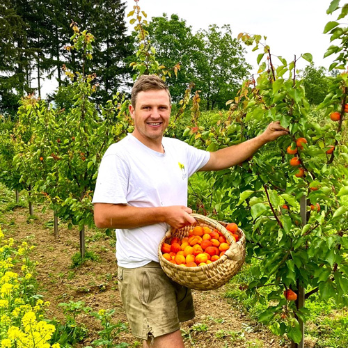 Spitzlehner Marillen